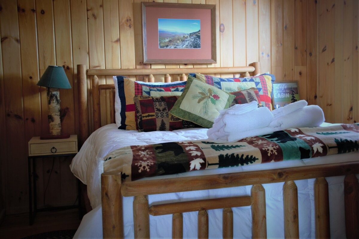 Una habitación de cabaña de madera con una cama, una mesita de noche, una lámpara y un cuadro en la pared.