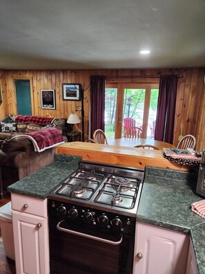 Interior - Tamarac Cabin Waterfront For Two (Saranac Lake)