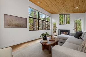 Smart TV, fireplace, DVD player, ping pong