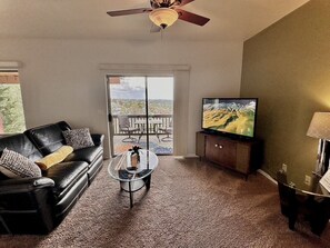 智能电视、DVD 播放器