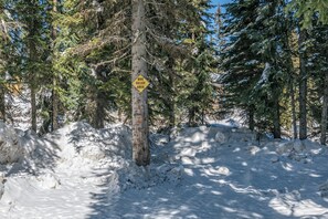A snowy forest area with a yellow sign indicating a dog relief area.
