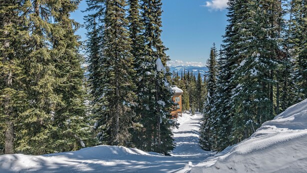 Ein mit Schnee bedeckter Skipfad, gesäumt von hoch aufragenden Nadelbäumen, der zu einer Lodge mit rotem Dach führt.