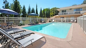 A rectangular pool with lounge chairs and umbrellas, surrounded by a white fence and trees. - Designer Poolside La Mesa Retreat w/ BBQ & Yard (La Mesa)