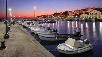 Marina