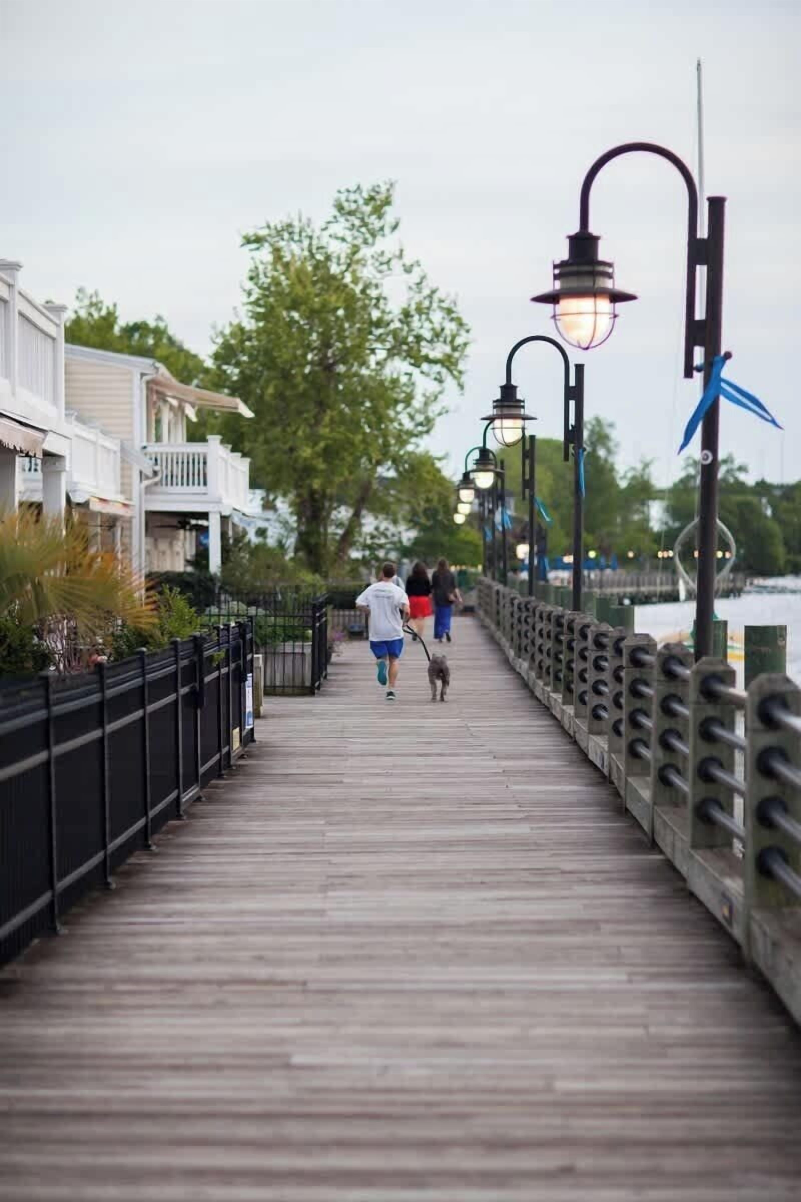 A wooden boardwalk with railings, street lamps, and a dog walking.