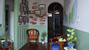 A room with a wooden chair, a potted plant, and a wall decorated with framed pictures. - Filandia Hotel (Filandia)