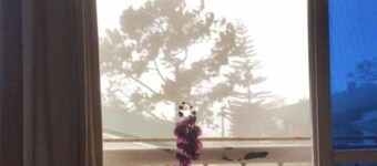 Baguio Green Valley Hideaway w/ Overlooking View, Pet Friendly, WiFi and Parking