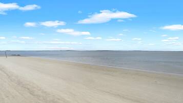 Condo, 1 Queen Bed (Dolphin Watch) | Beach | On the beach