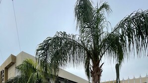 A hotel with a gated parking area, palm trees, and a building with a stone facade. - Noas hotel (Matamoros)