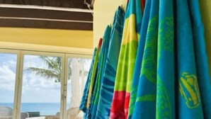 Une chambre avec vue sur l’océan, accessible par une porte vitrée, offrant un panorama sur une plage tropicale, avec des palmiers et un ciel dégagé.