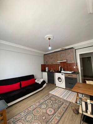 Comfort Apartment | Living area - Mertcan Pansiyon (Karabük)