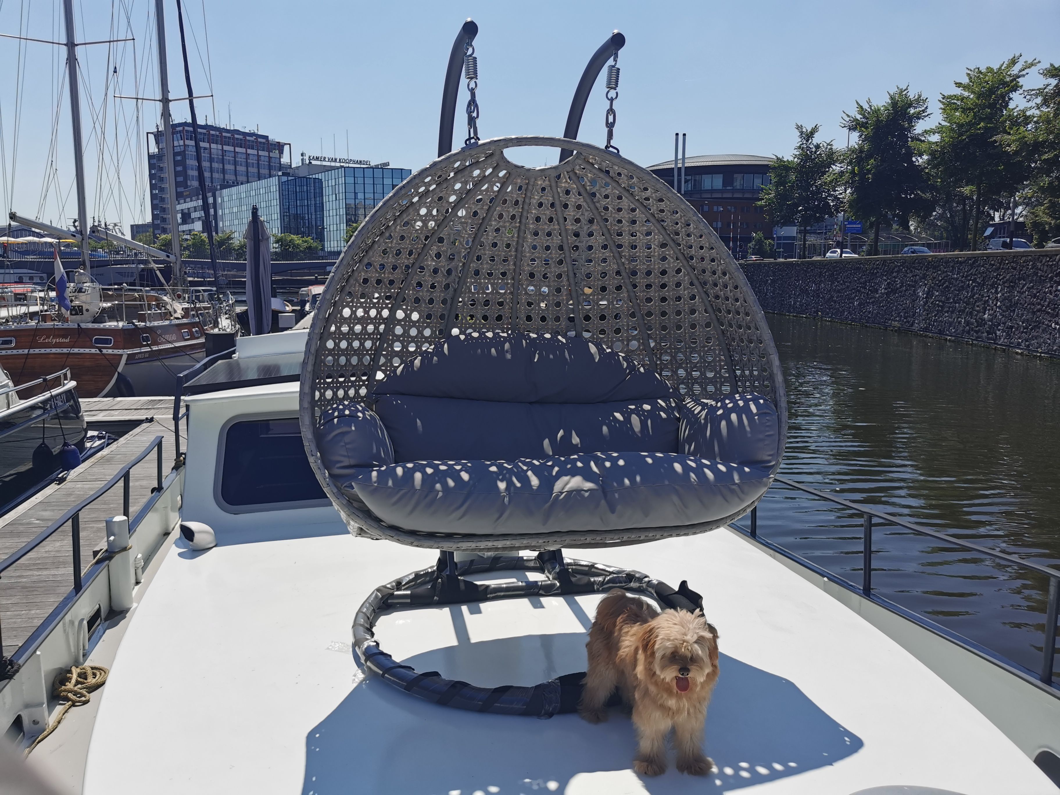 Ein Boot mit einer Hängematte und einem Hund auf dem Deck.
