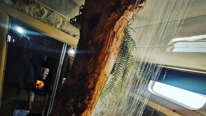 Un baño con un gran tronco de árbol, ducha y lavamanos.