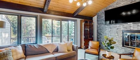 TV, fireplace, books