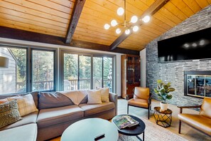 Televisión, chimenea y libros