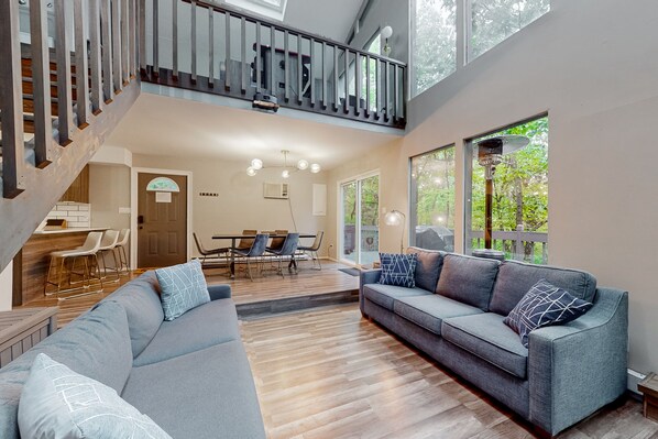 TV, fireplace, video games, books