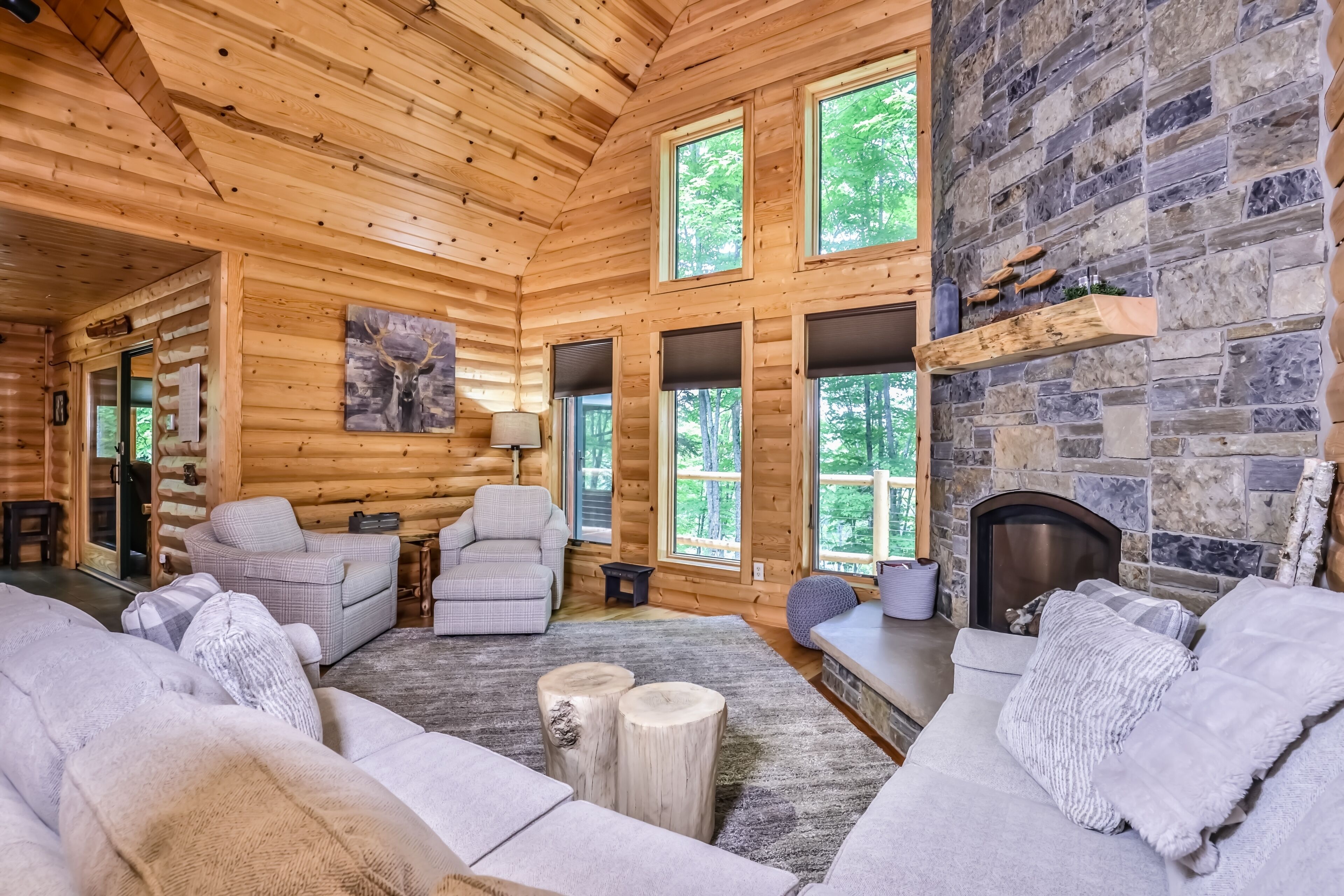 Una televisión, una chimenea