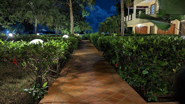 Un sendero pavimentado bordeado por abundante vegetación, que conduce a un edificio con balcón.