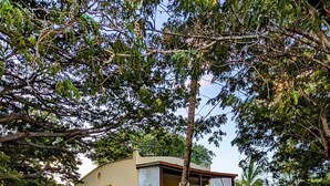 Un edificio de dos plantas con techo plano, rodeado de un césped cuidado y varios árboles.