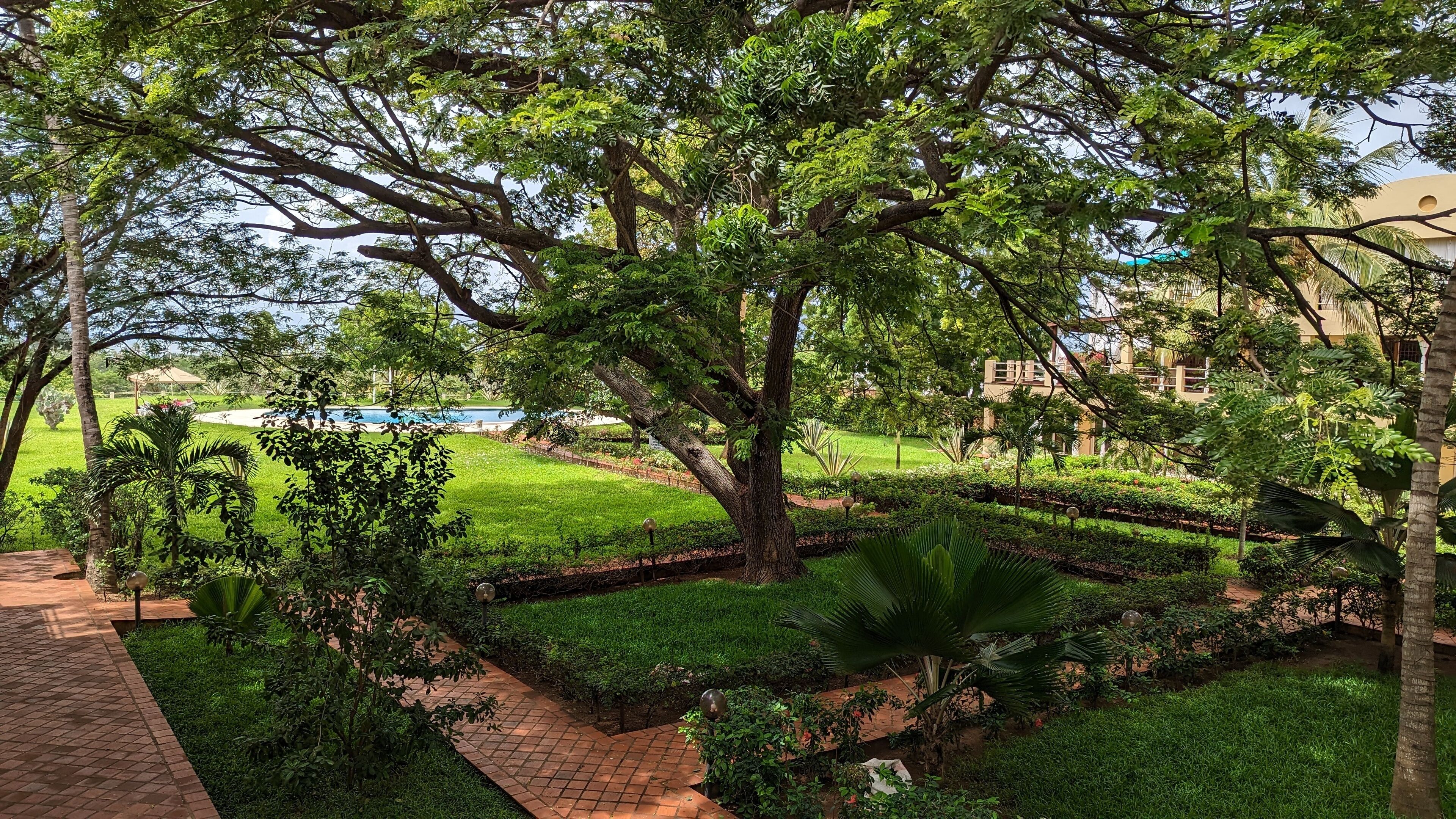 A lush garden with a pathway, a pool, and a building in the background.