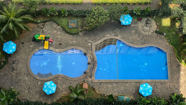 Una amplia piscina al aire libre con un borde de piedra y abundante vegetación, incluyendo palmeras.