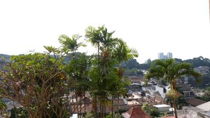 Zona residencial con casas, palmeras y una antena parabólica.