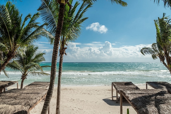Plage privée, sable blanc, serviettes de plage