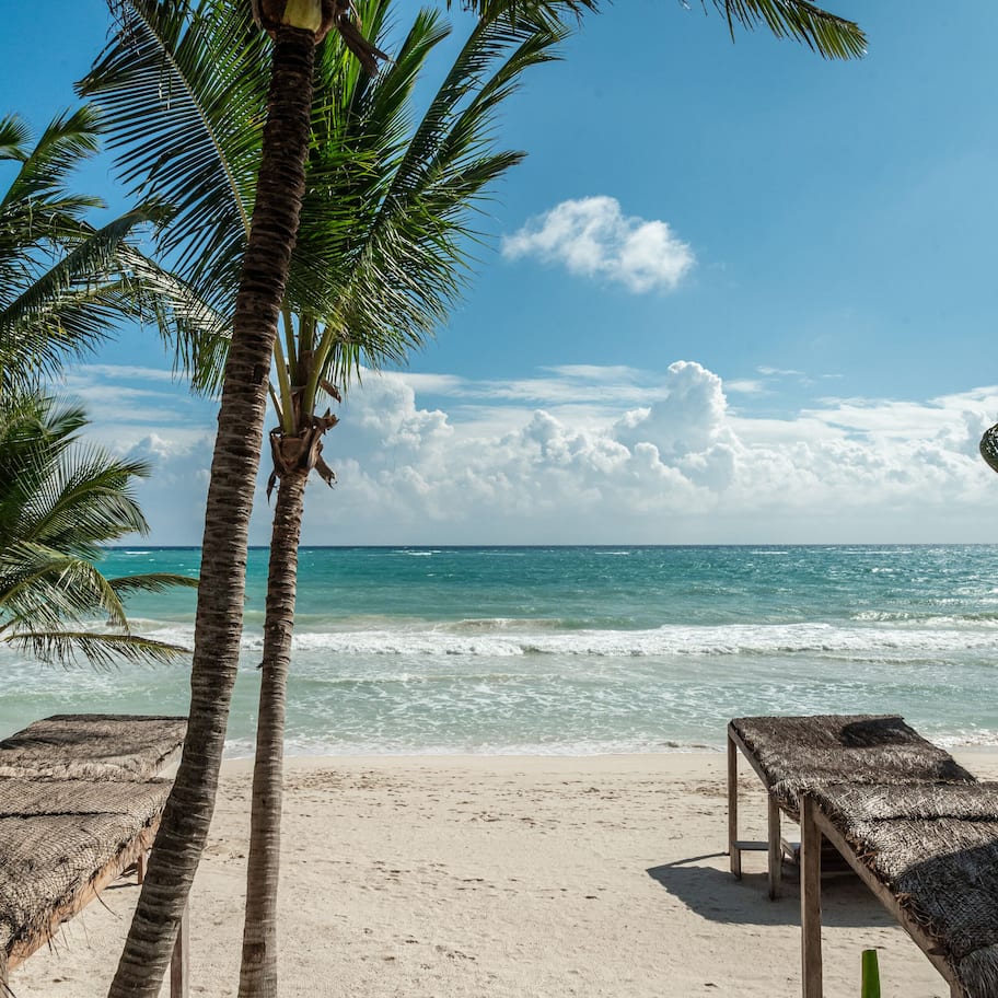 A beach with thatched umbrellas and palm trees.