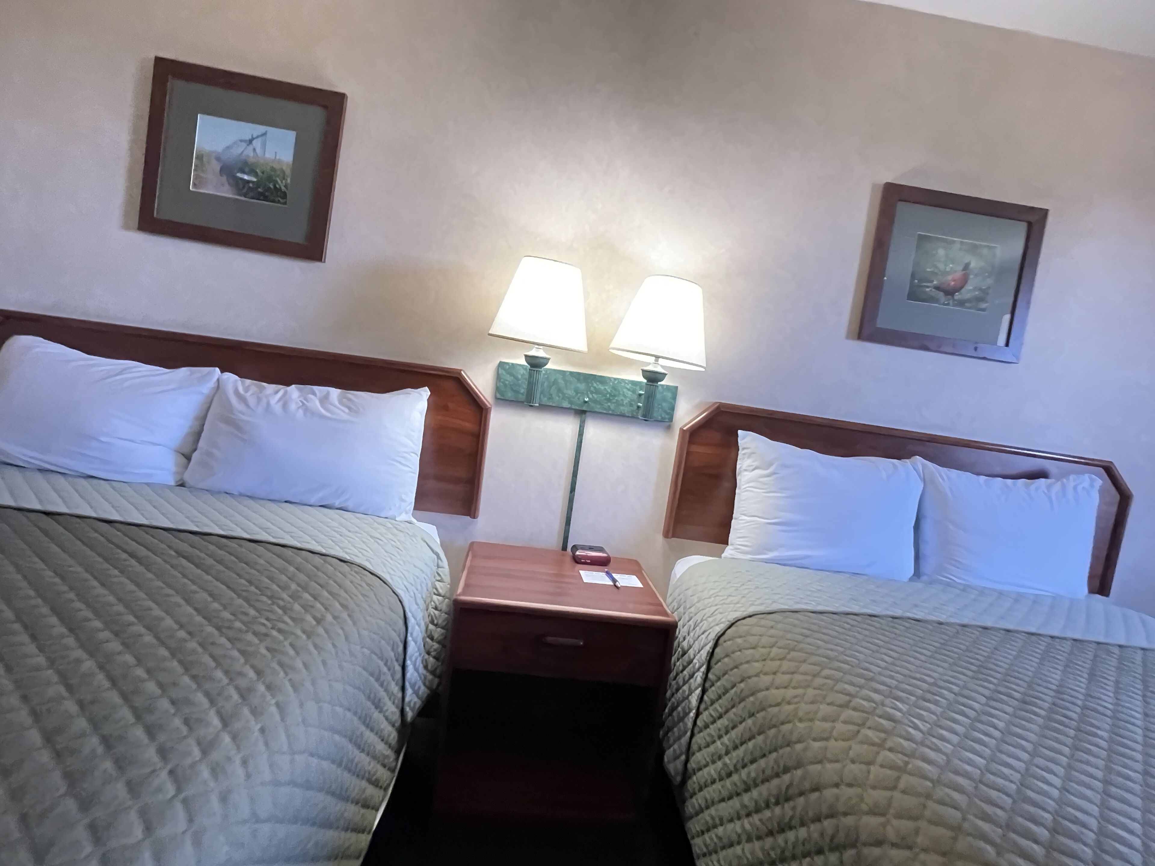 Habitación familiar | Ropa de cama hipoalergénica, wifi gratis y ropa de cama 