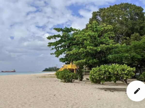 A beach with a sandy shore, a large tree, and a yellow structure.