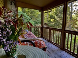 Property grounds - Murphy Mountain House - Creeks, Firepits & High Speed Internet! (Murphy)