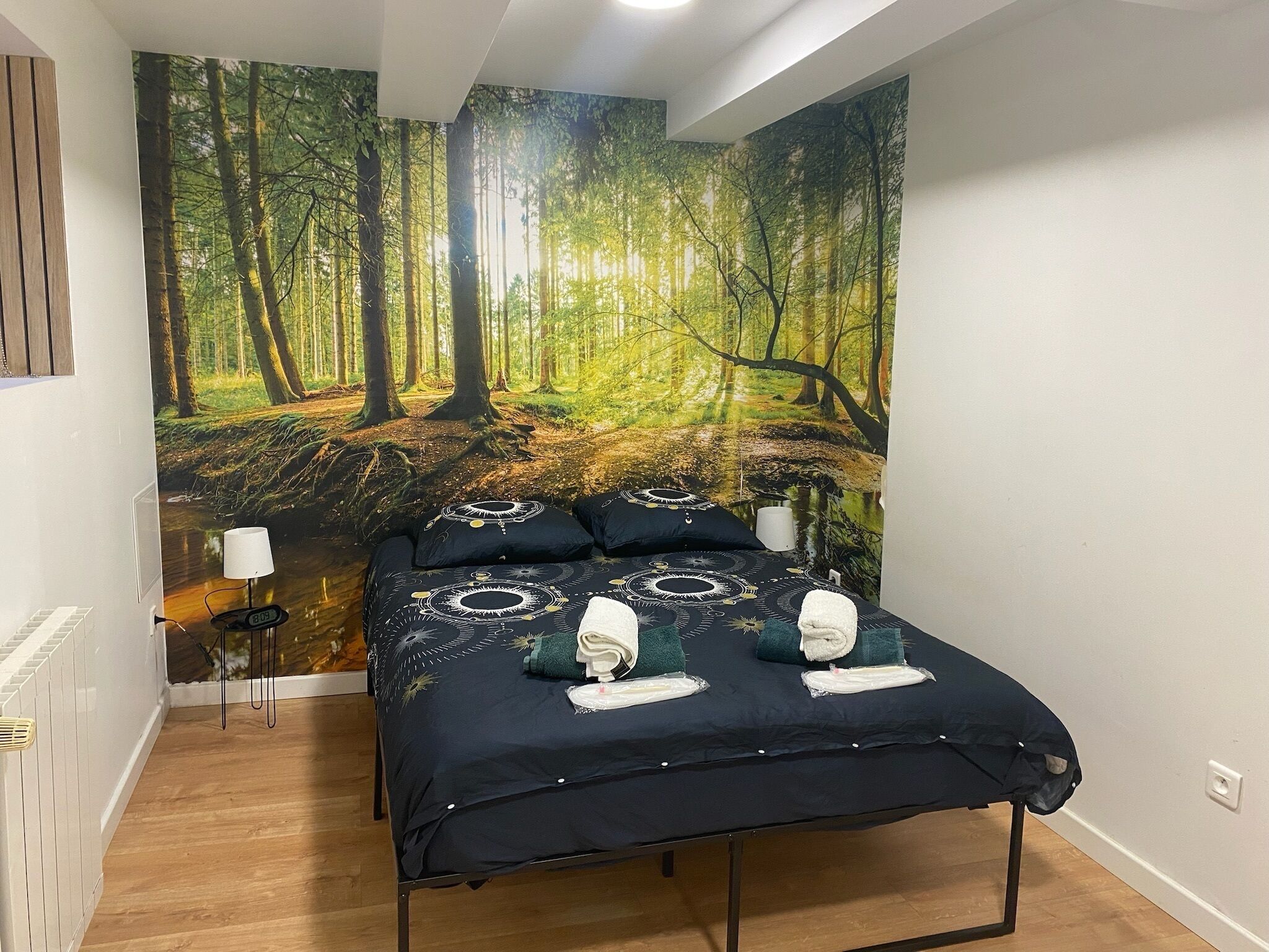 2 chambres, bureau, fer et planche à repasser, lit parapluie