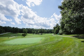 Golf - Cherry Street Loft (B) | In the Heart of Downtown Black Mtn! (Black Mountain)