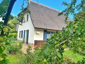 Unclassified image, 4 of 27, button - Ranzow - Doppelhaushälfte Svantevit 2 - Doppelhaushälfte Svantevit 2 (Lohme)