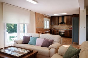 Fernseher, Kamin