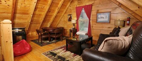 TV, fireplace, video games, DVD player