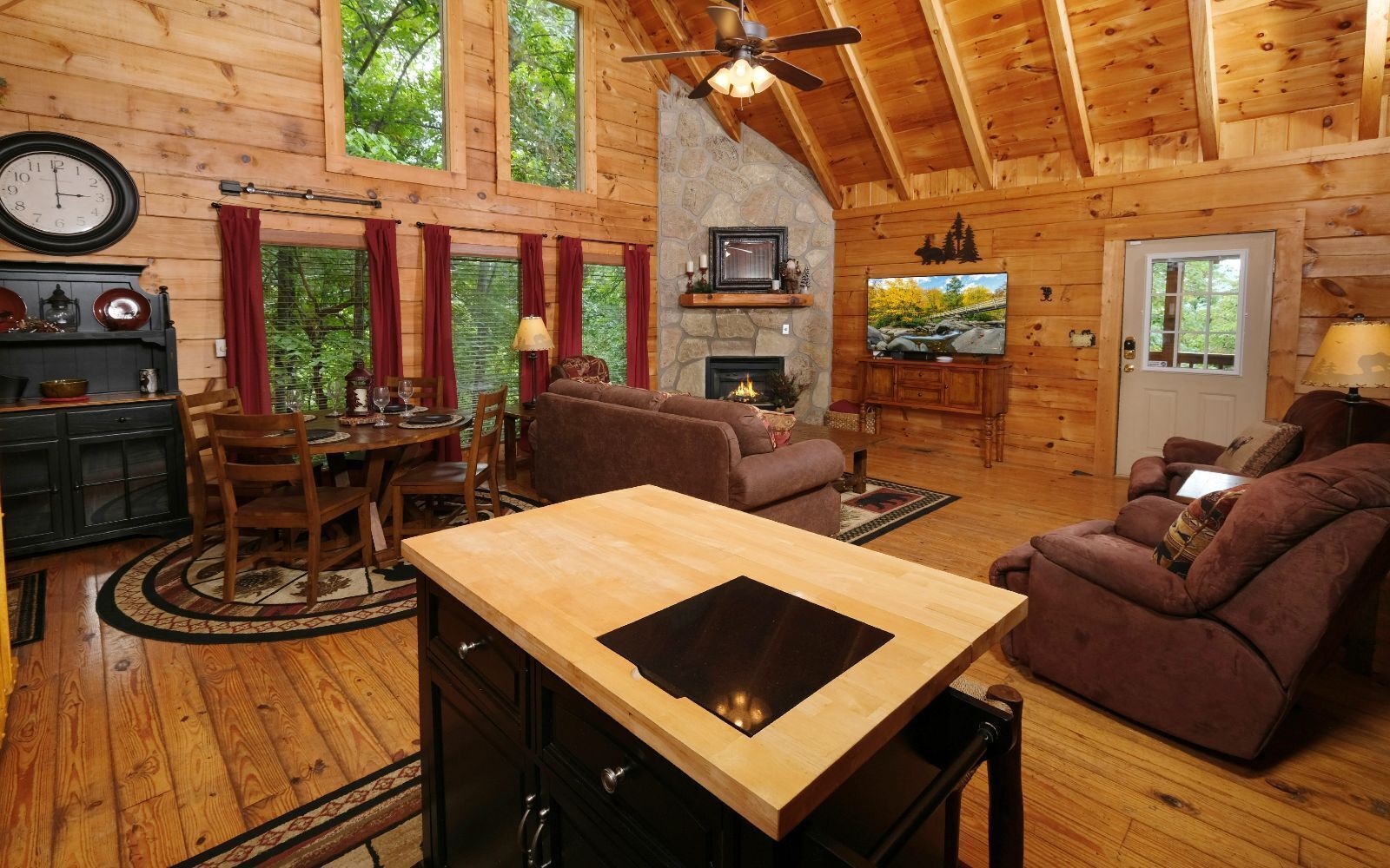 Télévision, cheminée, jeux vidéo, lecteur de DVD