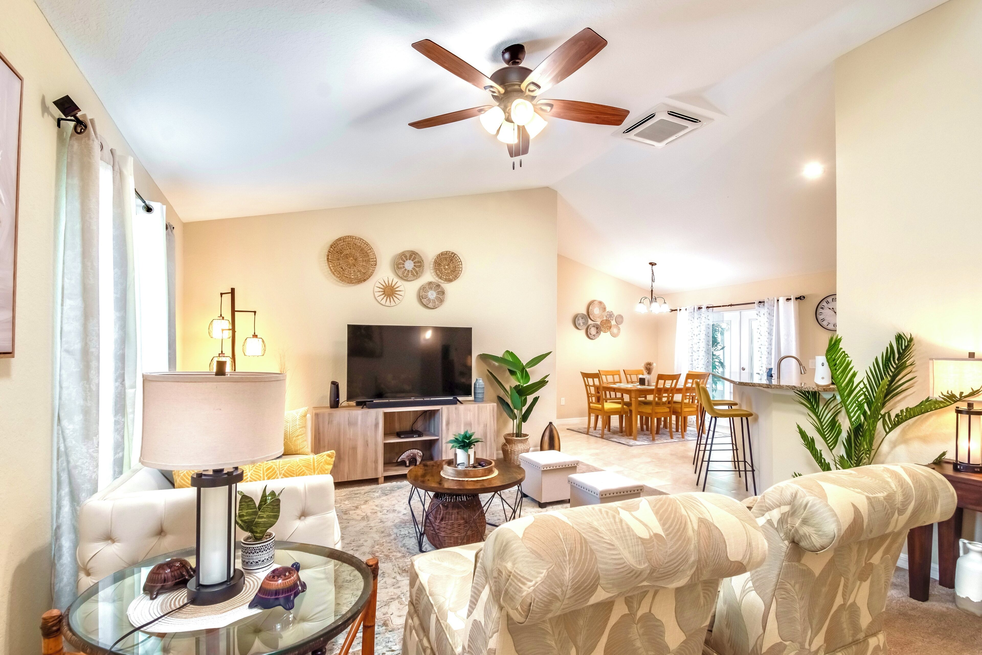 Smart TV, DVD player, video library