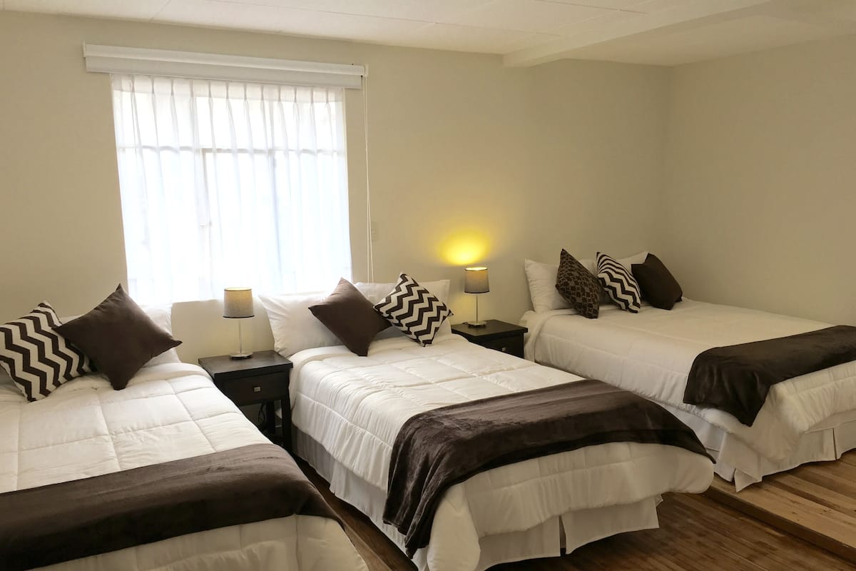 A hotel room with three beds, each with white bedding and brown accents, a window with sheer curtains, and bedside lamps.