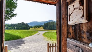 Détail de l’extérieur