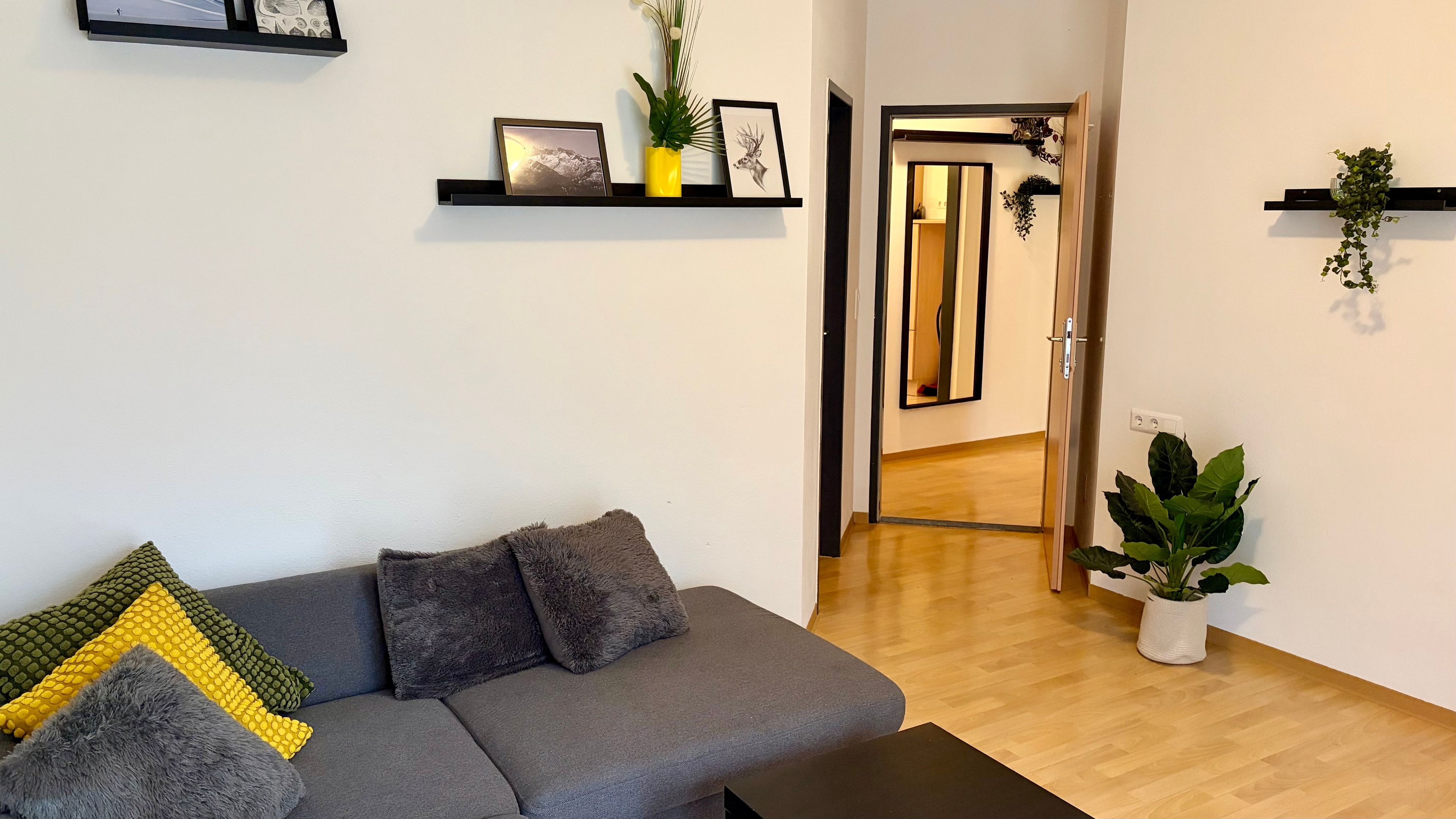 Un salon moderne avec un canapé gris, une table basse noire et une plante en pot.