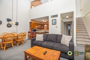 TV, fireplace, DVD player