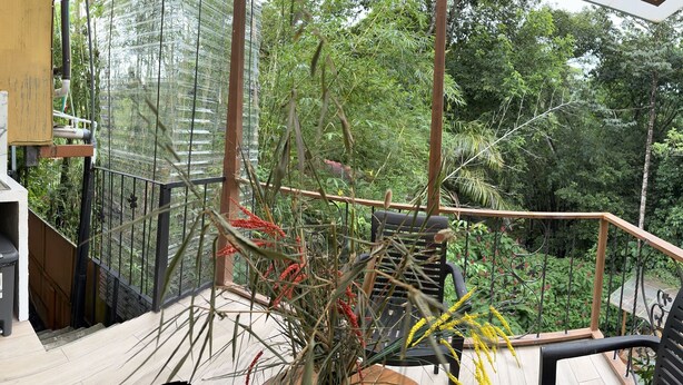 Een kleine keuken met een spoelbak, fornuis en bergkasten, met uitzicht op een weelderige tuin.