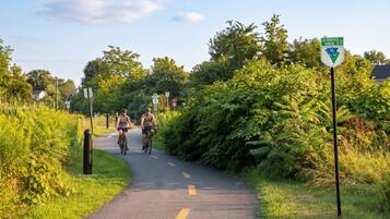 Una via ciclista asfaltada amb ciclistes, envoltada de vegetació i un cel serè.