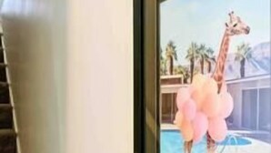 A framed picture of a giraffe with pink balloons in a pool area. - Mid-Mod Urban Hub | Hot Tub & Fire Pit (Port Angeles)