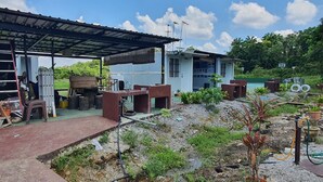 Uma área externa coberta com piso de concreto, um pequeno jardim com diversas plantas, e um edifício com telhado de metal ao fundo.
