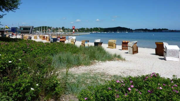 A beach with sand, grass, and flowers. - Ferienwohnung Leuchtfeuer (Eckernförde)