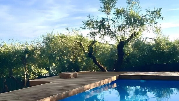 Una piscina con cubierta de madera y árboles al fondo.