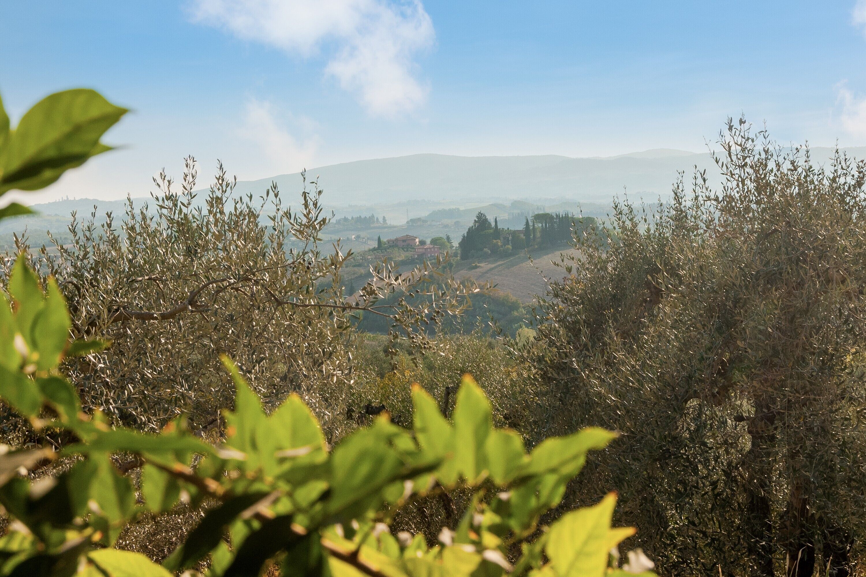 A landscape view with hills, trees, and a clear sky.