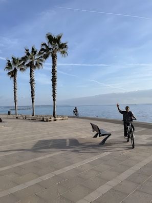 Ein gepflasterter Weg mit Palmen, einem Radfahrer und einer Bank.